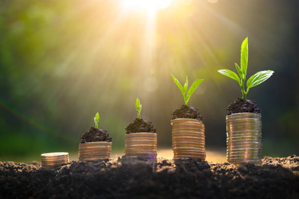 Money growth Saving money. Upper tree coins to shown concept of growing business Money growth Saving money. Upper tree coins to shown concept of growing business capital budget pictures stock pictures, royalty-free photos & images