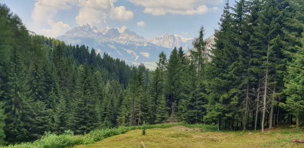 Panoramic view from Alpe Lusia - Dolomites Panoramic view from Alpe Lusia - Dolomites catinaccio stock pictures, royalty-free photos & images