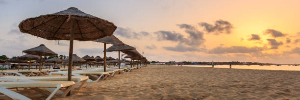 istock Beach sunbeds and umbrellas 1163983324
