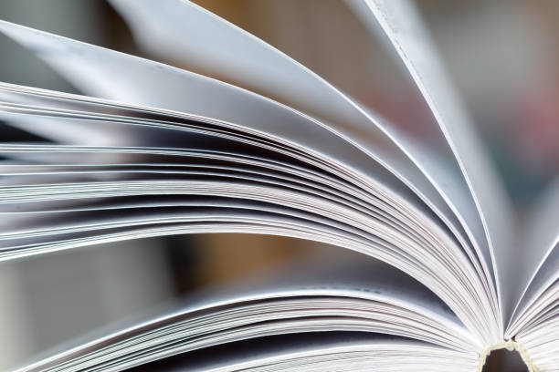 istock Close up opened book page with blurry background 1163984035