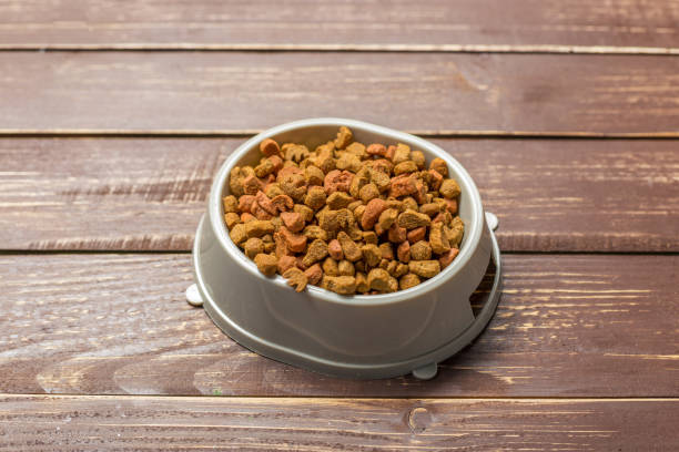 istock Dried food for dogs or cats. 1163985078