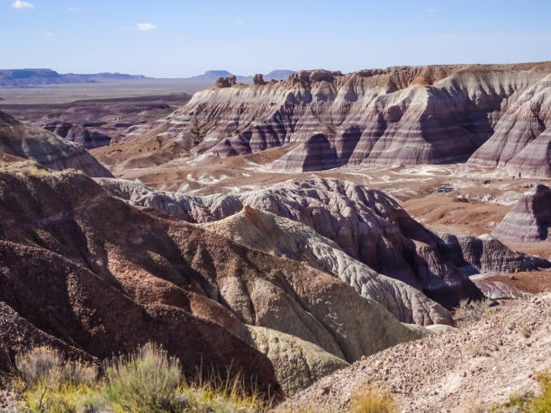 istock Blue Mesa Petrified Forest National Park - Arizona 1163985185