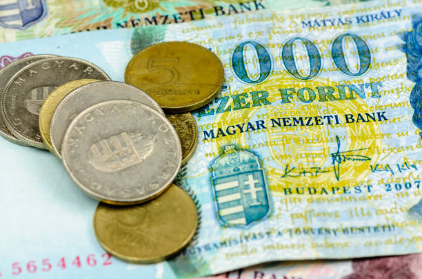 istock Hungarian Forint bank note and coins 1163986093