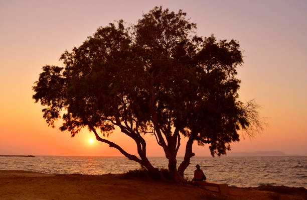 istock Sunset on Kato Gouves beach 1163987836