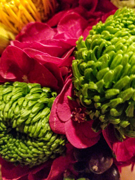 istock Blooming colors Magenta, gold and green 1163988706