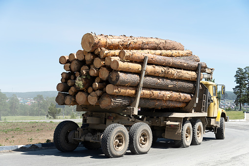 The truck transports the cut trees. Large transport loaded logging. Timber transports lumber.