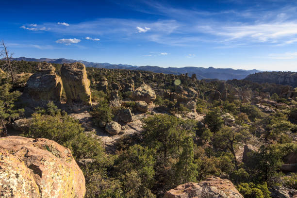istock Chiricahua National Monument 1163989702