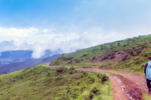 istock landscape of a Carpathians mountains with footpath 1163992128