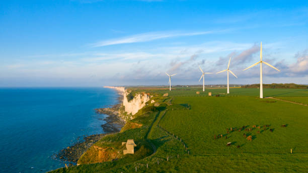istock Five wind turbines in a Norman field by the sea 1163993544