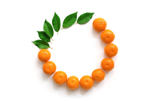 Flat lay composition of tangerines and leaves on a white background, round frame. Overhead.