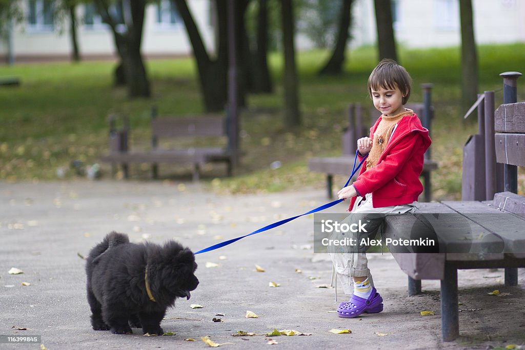 Kleines Mädchen und chow chow-chow - Lizenzfrei Anführen Stock-Foto