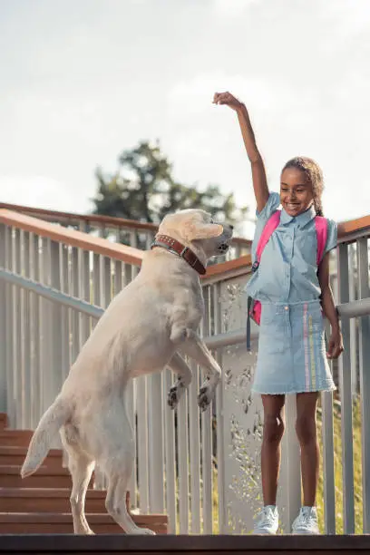 Photo of Amazing dark-skinned girl playing with big dog