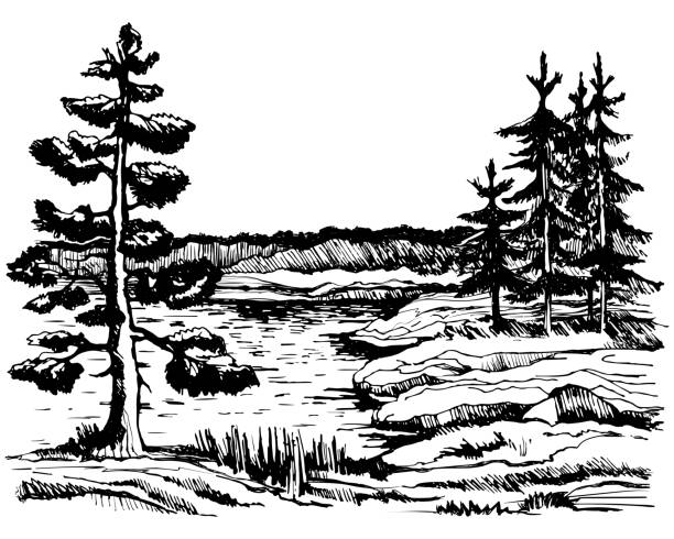 illustrations, cliparts, dessins animés et icônes de vue de fond du canada du beau paysage - pencil pine