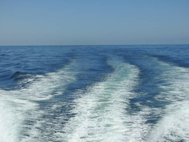 istock wake of water 1164000540