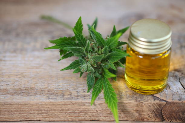 istock Medical marijuana cannabis cbd oil 1164000890