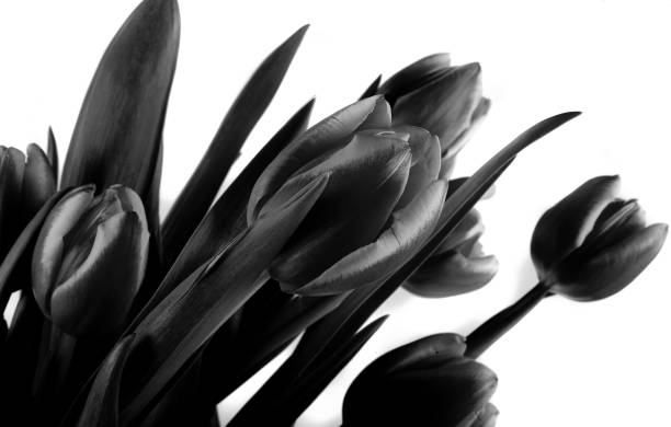 istock bouquet of tulips 1164003319