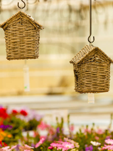 istock Hanging under ceiling wicker houses for birds 1164003363