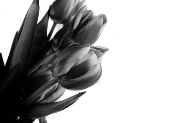 istock bouquet of tulips 1164003413