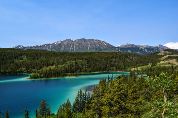 lago esmeralda - yukon fotografías e imágenes de stock