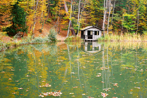 Small cabin on lake coast autumn, yellow and green trees