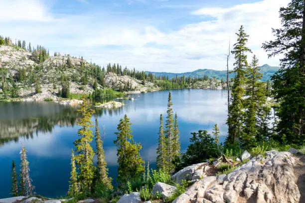 This shot was taken above Lake Mary during the summer.  The shoreline is quite lush and green because of a wet winter and spring and wildflowers are in full bloom.  Patches of snow can still be scene on the sides of the surrounding mountains.  The water is very still and reflecting the sky like a mirror.