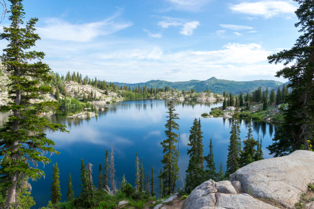 panoramic scene above a mountain lake - lake mary in the wasatch mountains of utah - valley tree remote landscape imagens e fotografias de stock