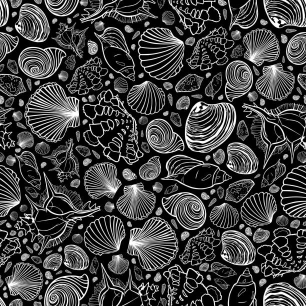 Shell Texture Image Repeat 110+ Conch Shell On Tile Background Stock Illustrations, Royalty-Free ...