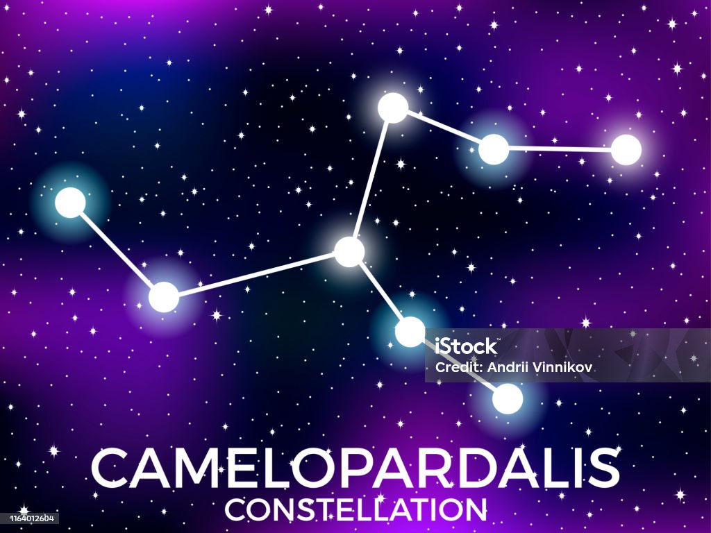 Leopard Constellation Camelopardalis Constellation Starry Night Sky Cluster Of Stars And ...
