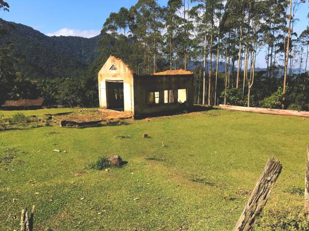 istock Old school abandoned in nature. 1164013438