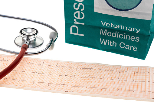 Pet medication, stethoscope and ECG printout - white background