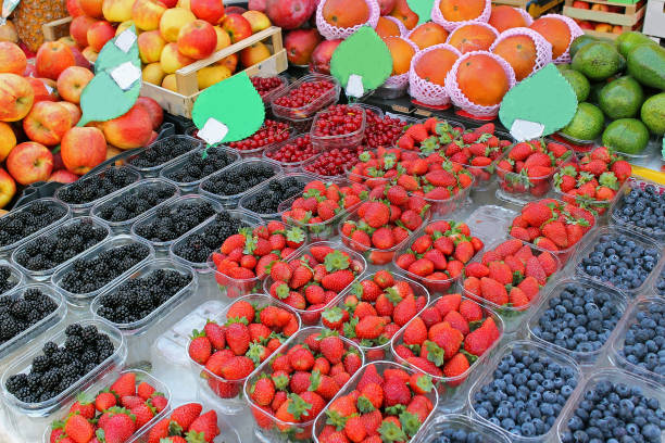 istock Fresh organic food on market 1164019536