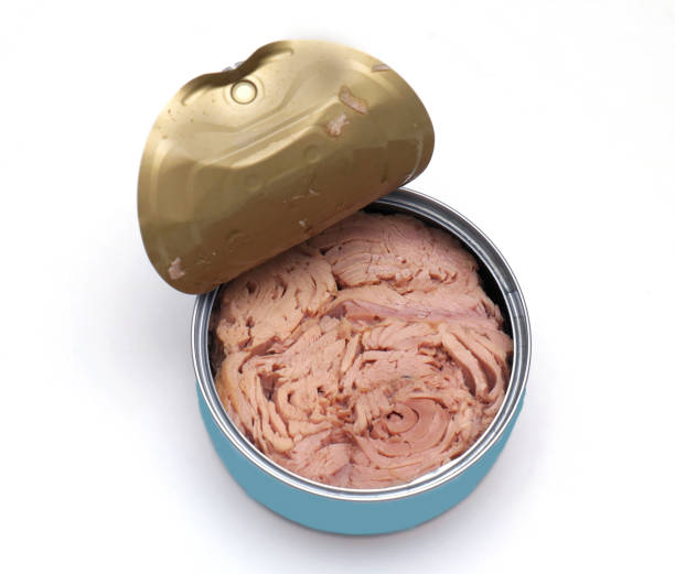 Open can of tuna stock photo