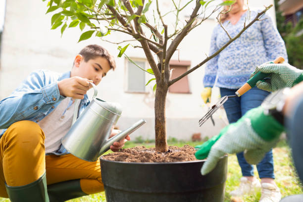 istock Helping grandparents to grow tree and having fun 1164020727