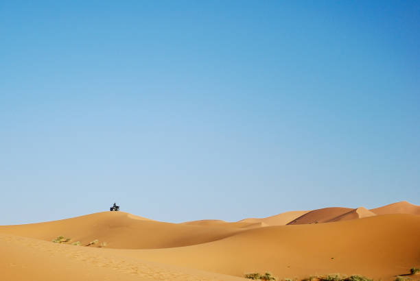 istock A quad over dunes in desert 1164021646