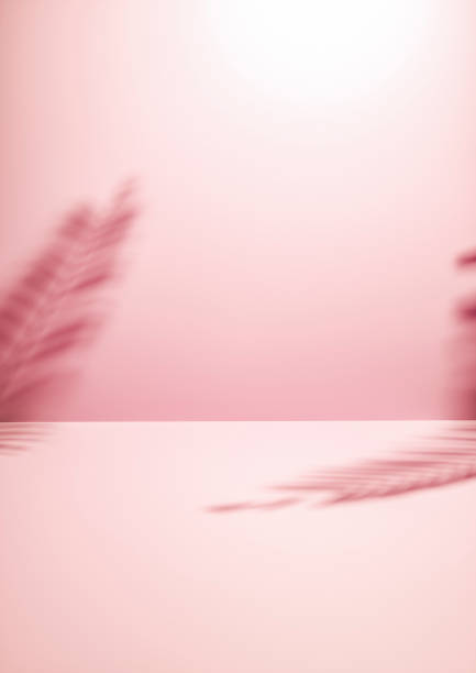 istock Two palm fronds casting shadows on a cosmetic pastel pink background for product presentation 1164030447