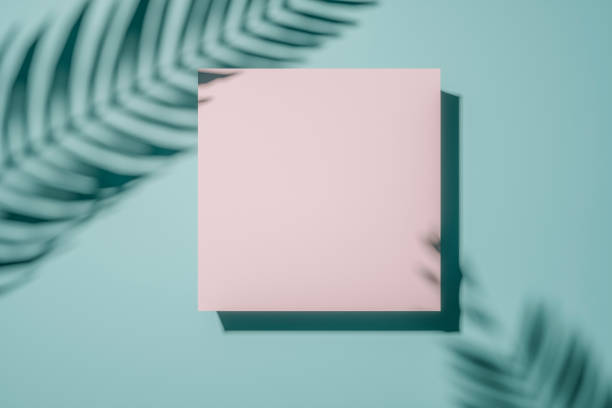istock Shadow of a palm frond on a pastell green wall 1164030452