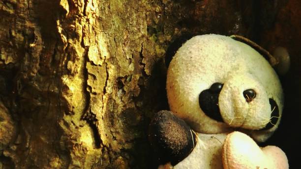 The teddy bear was left at the tree base in the forest.