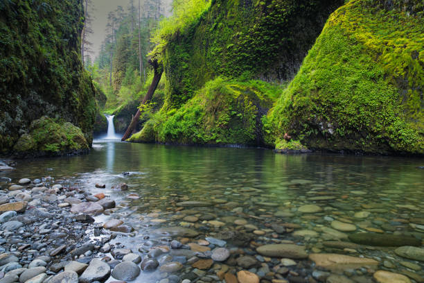Punch Bowl Falls and Greenery on Eagle Creek Columbia River Gorge National Scenic Area, Oregon ravine photos stock pictures, royalty-free photos & images