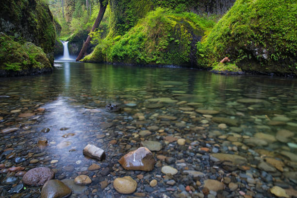 istock Punch Bowl Falls and Greenery Lush Foliage on Eagle Creek 1164044287