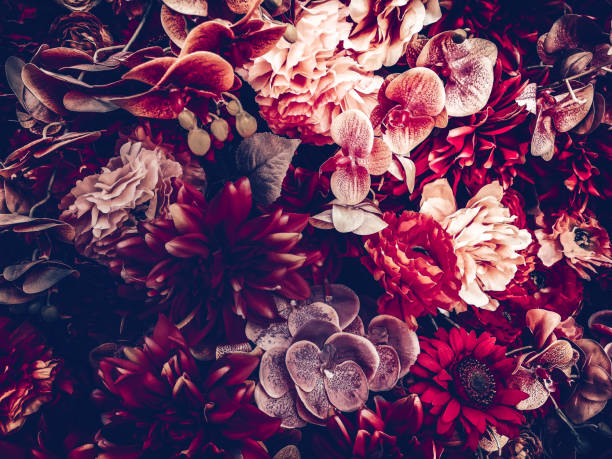 istock artificial flowers wall background with vintage style 1164054988