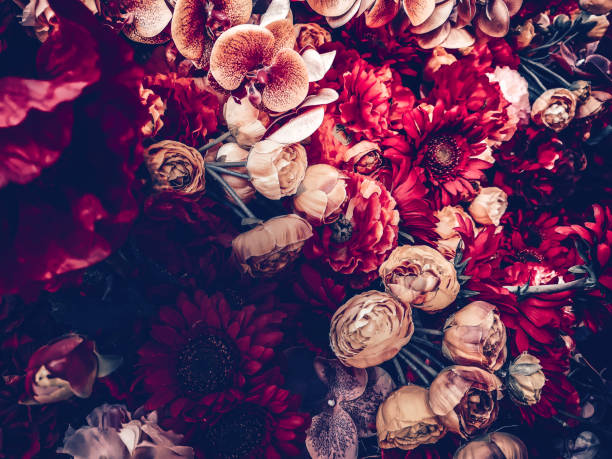 istock artificial flowers wall background with vintage style 1164054998