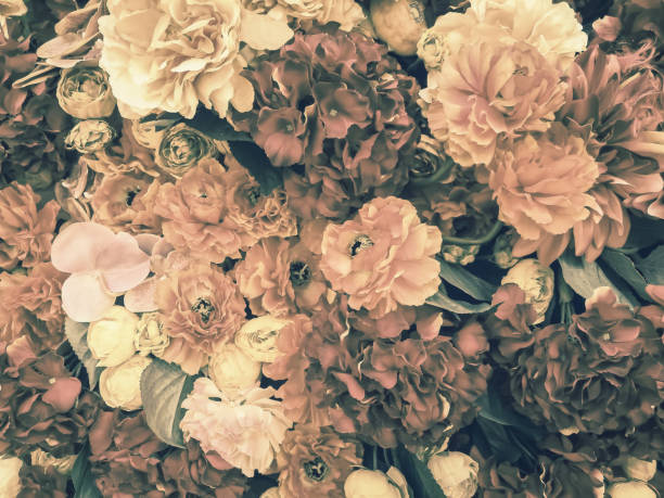 istock artificial flowers wall background with vintage style 1164055003