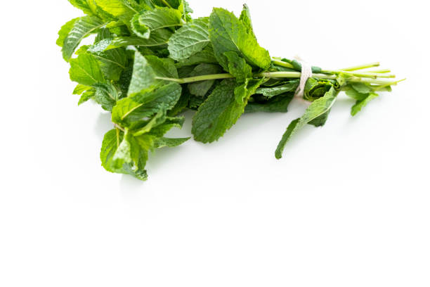 istock Fresh mint from the organic garden on a white background. 1164055090