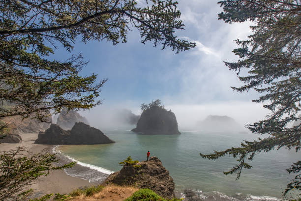 米国オレゴン州シークレットビーチの岩の上に立つトラブラー - oregon beach ストックフォトと画像