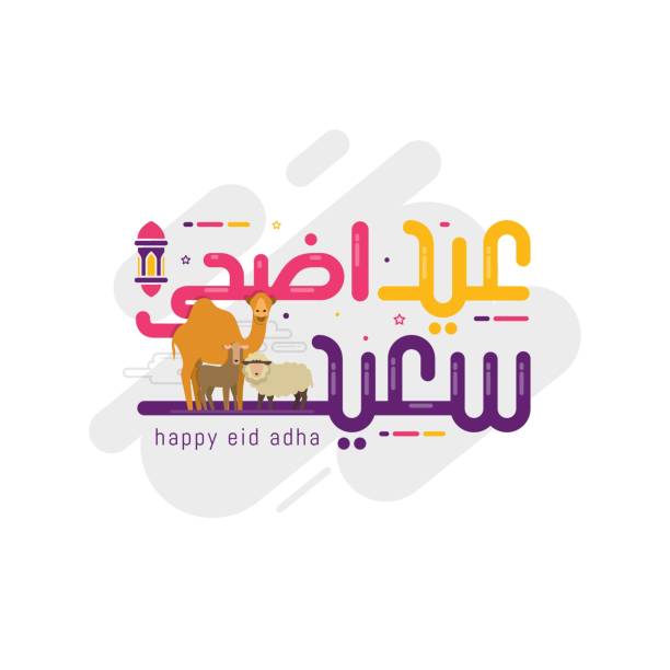 Eid Al Adha cute calligraphy vector illustration Eid Al Adha cute calligraphy vector illustration. Celebration of Muslim holiday the sacrifice a camel, sheep and goat eid adha stock illustrations