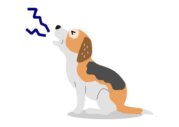 Vector illustration of old dog keep crying
