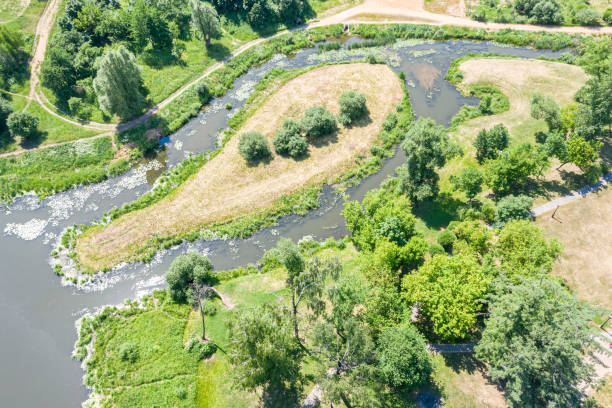 istock beautiful park scene with trees, green lawns and river in summer 1164061040