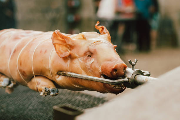 istock Suckling pig roasted on a barbecue 1164062637