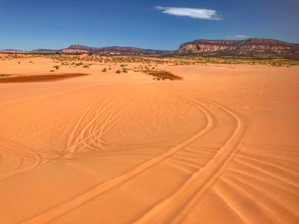istock Coral Pink Sand Dunes in Kanab, Utah 1164064721