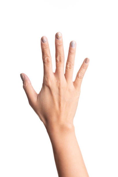 istock Girl hands gesture isolated on white 1164065054